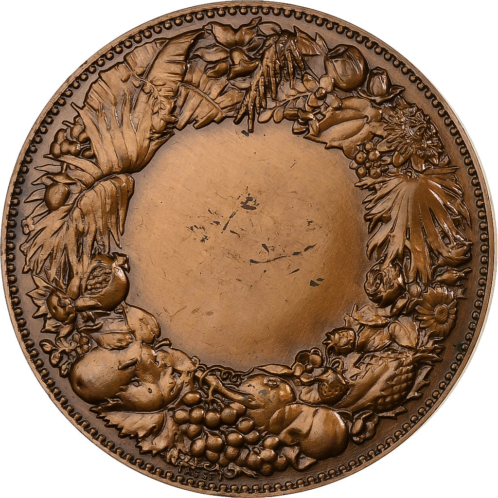 France, Medal, 1972, Bronze, Alphée Dubois, AU(55-58)