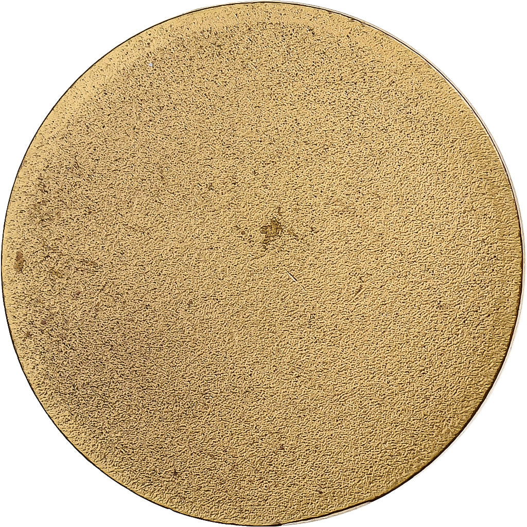 Francia, medaglia, Notre-Dame de la Garde, Bronzo, Karo, SPL