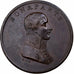 Francja, medal, Napoléon Bonaparte, Sagesse et Courage, 1801, Brązowy