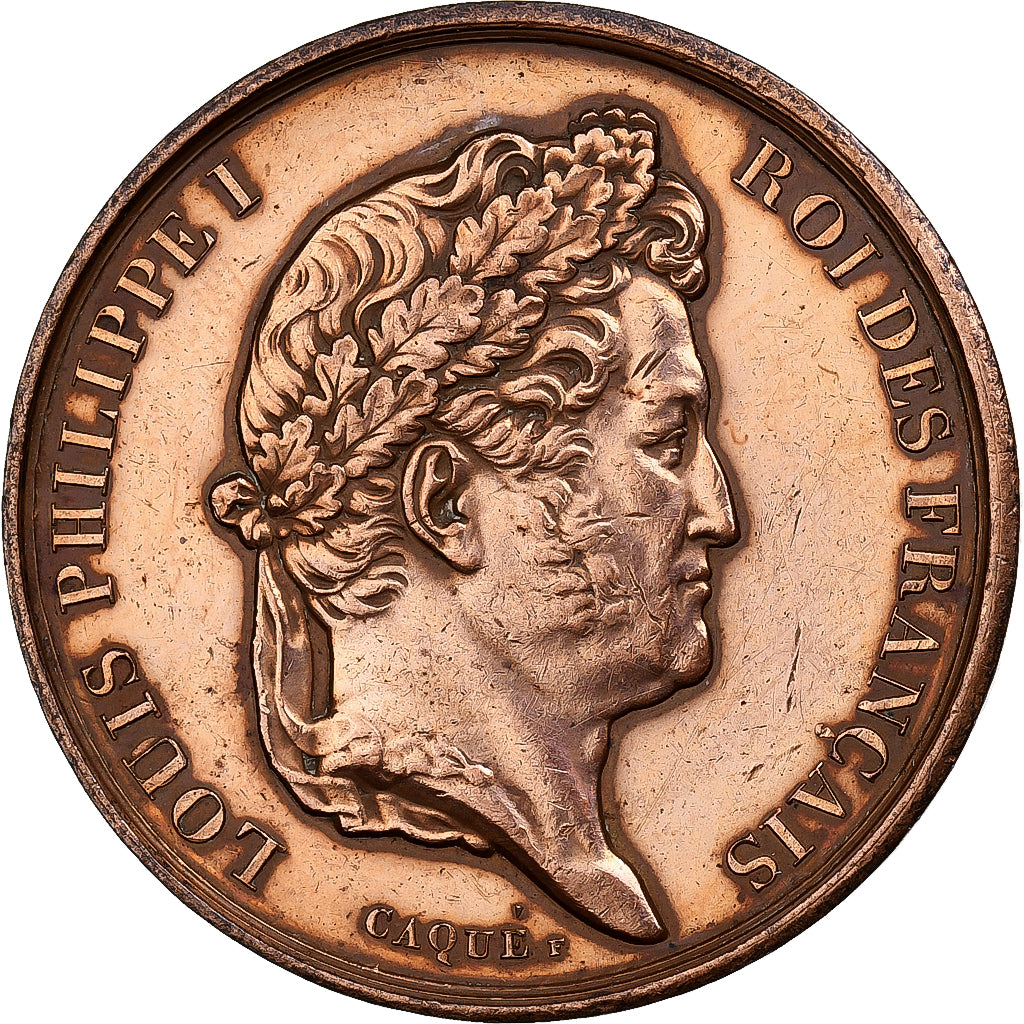 France, Medal, Louis-Philippe Ier, Entrepôt de l'Isle des Cygnes, 1833, Bronze