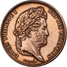 France, Medal, Louis-Philippe Ier, Entrepôt de l'Isle des Cygnes, 1833, Bronze