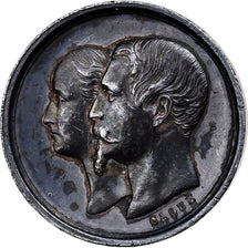 Francja, Quinaire, Napoleon III and Eugenie, Naissance de Napoléon IV, 1856