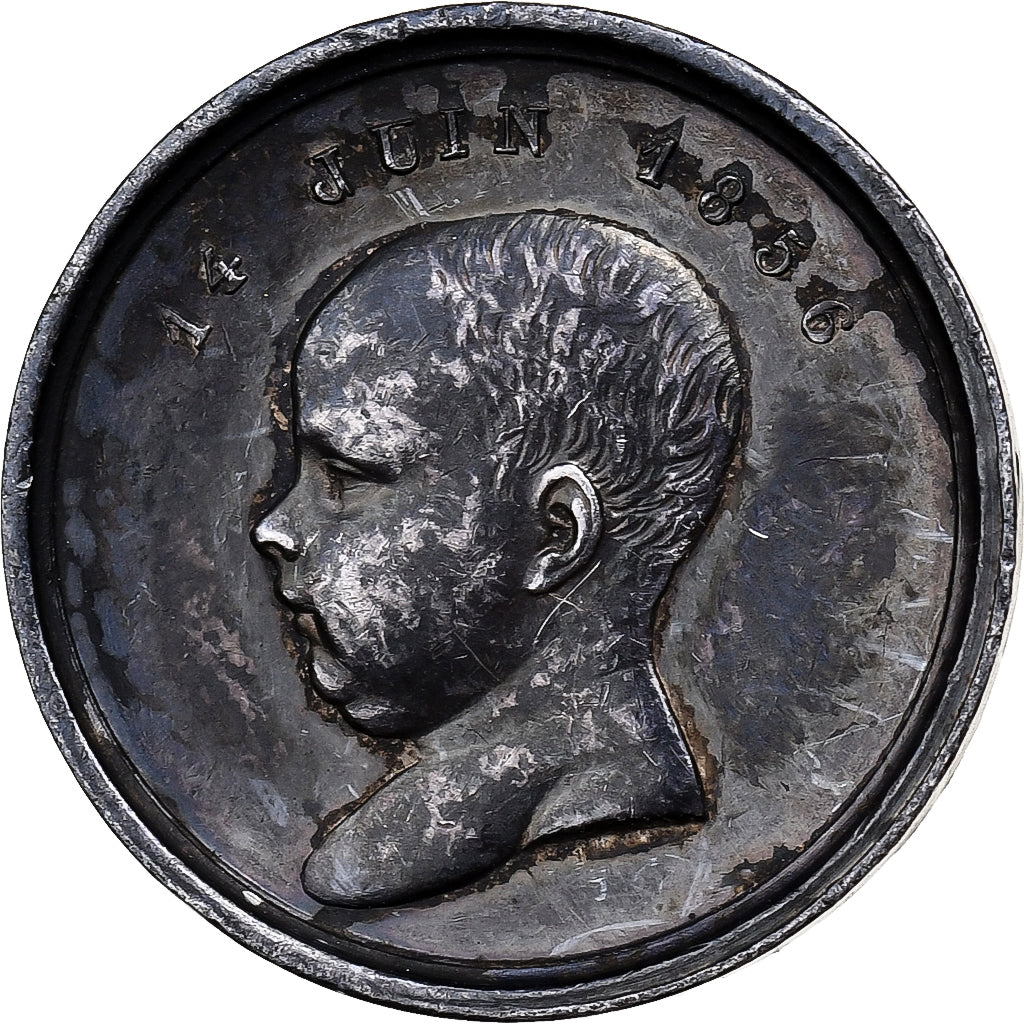 Francja, Quinaire, Napoleon III and Eugenie, Naissance de Napoléon IV, 1856