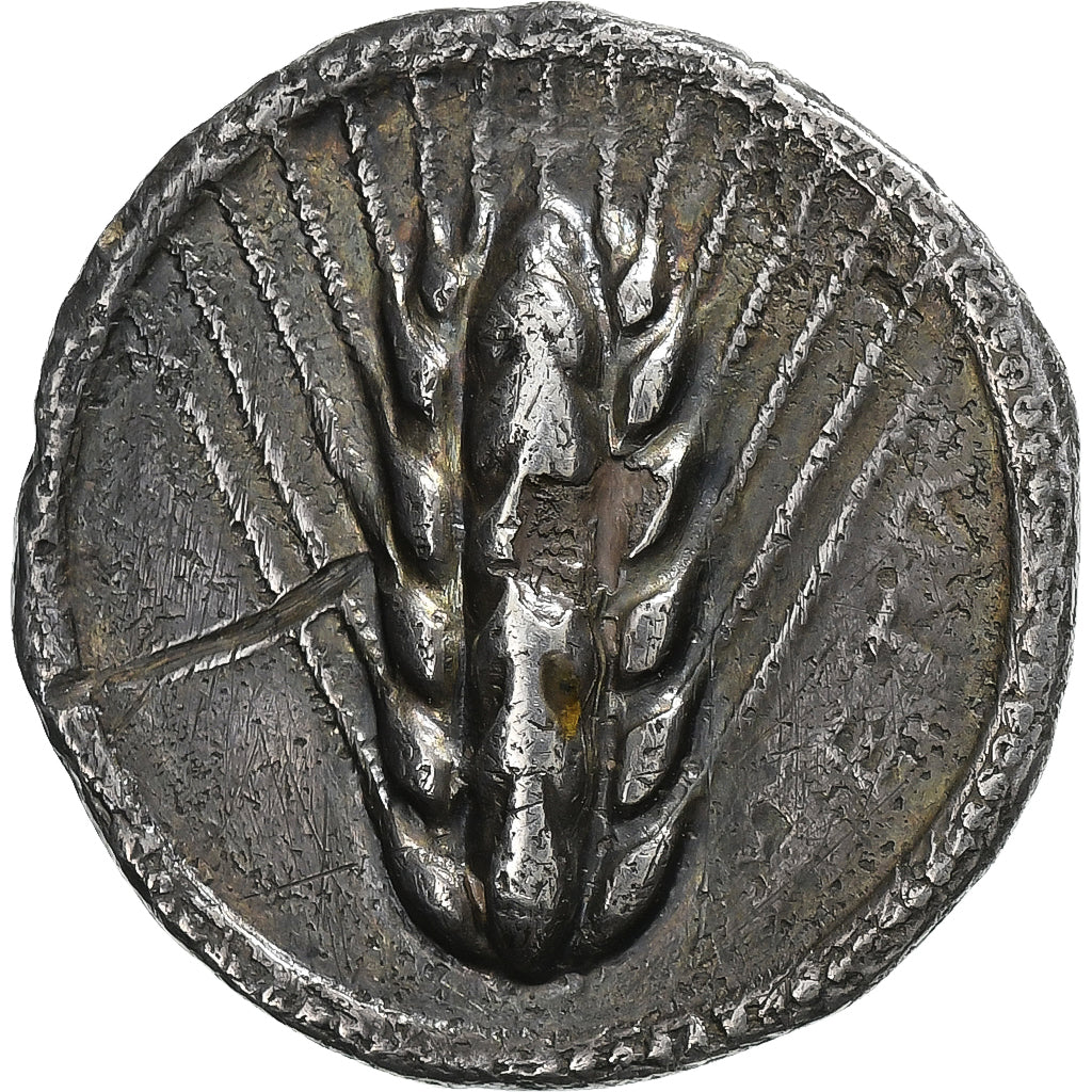 Nomos, v. 540-510 av. J.-C. Métaponte, Argent, TB, HGC:1027