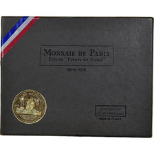 Francia, Coffret 1 c. à 10 frs., 1973, MDP, série FDC, Sin información, FDC