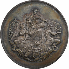 Francia, medalla, Société d'encouragement à l'Agriculture, Dreux, 1906