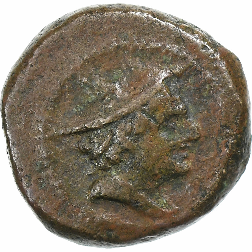 Anonyme, Semuncia, 214-212 av. J.-C., Lucera, Bronze, TB, Crawford:43/6