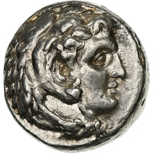 Kingdom of Macedonia, Tetradrachm, 311-305 BC, Babylon, Silver, VF(30-35)