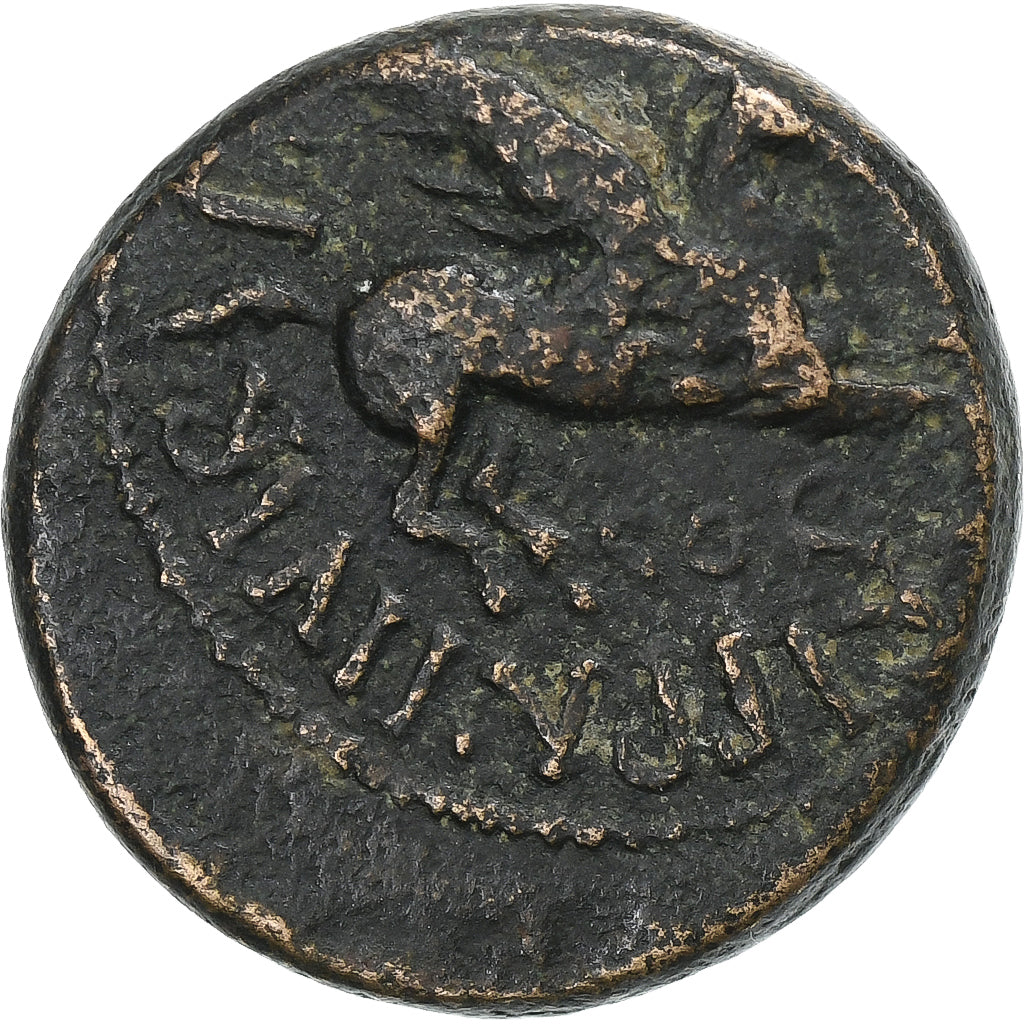 Corinthia, Caligula, Æ Unit, 37-38, Corinth, Bronzo, B+, RPC:I-1172a