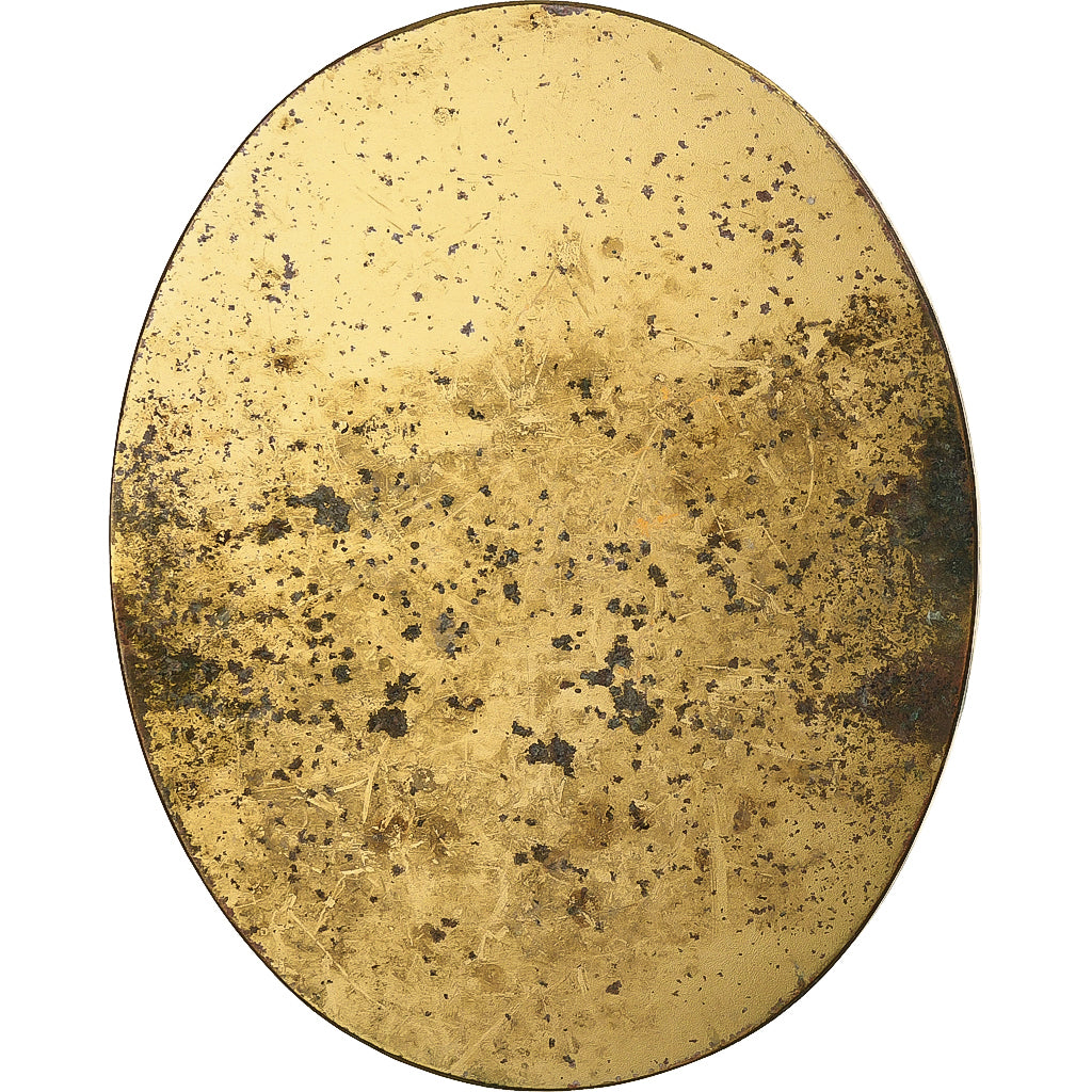 France, Medal, Speech of Colbert in 1664, Bronze Florentin, EF(40-45)