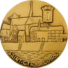 France, Medal, Hommage, Saint-Cyr-sur-Loire, Bronze Florentin, Pichard