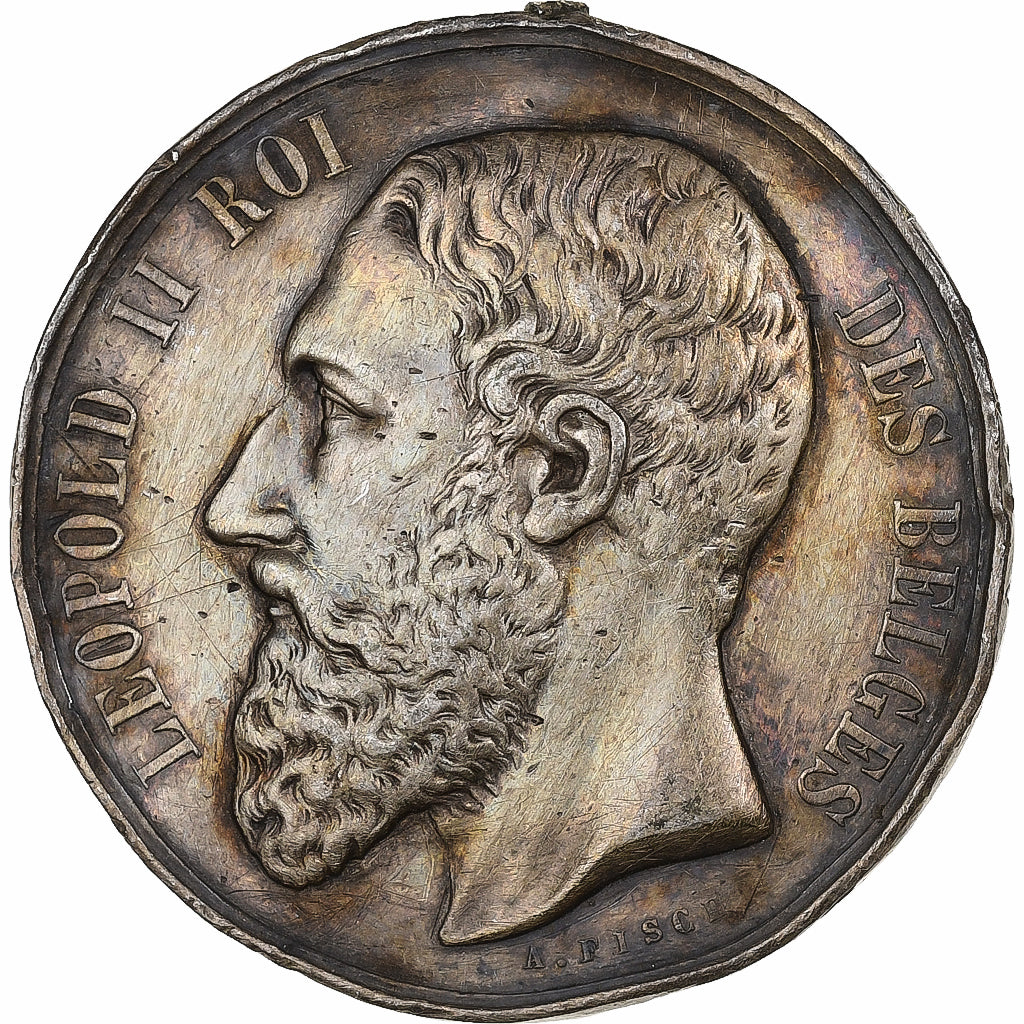 Belgio, medaglia, Léopold II, Société Agricole du Limbourg, Exposition, 1873