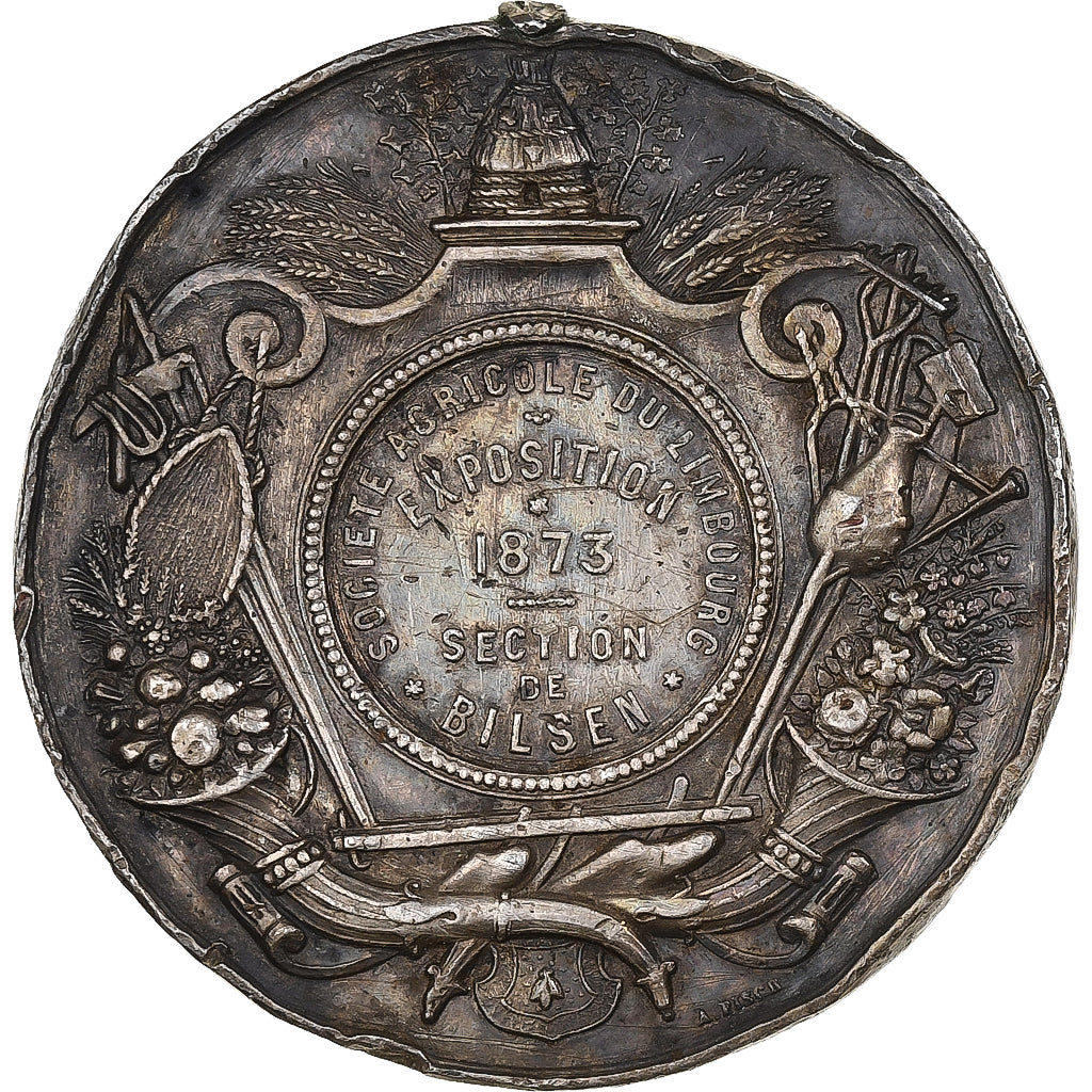 Belgio, medaglia, Léopold II, Société Agricole du Limbourg, Exposition, 1873