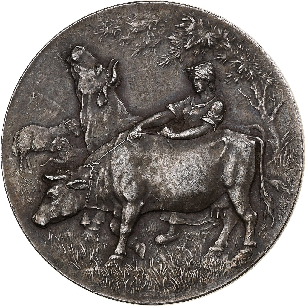 Francia, medalla, Société des Agriculteurs du Nord, Plata, Rivet, EBC