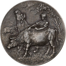 Francia, medalla, Société des Agriculteurs du Nord, Plata, Rivet, EBC