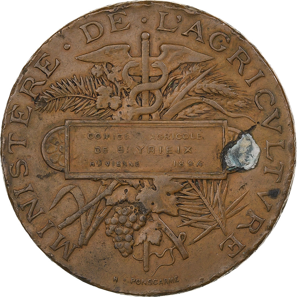França, medalha, Comice agricole de St-Yrieix, 1894, Bronze, Ponscarme