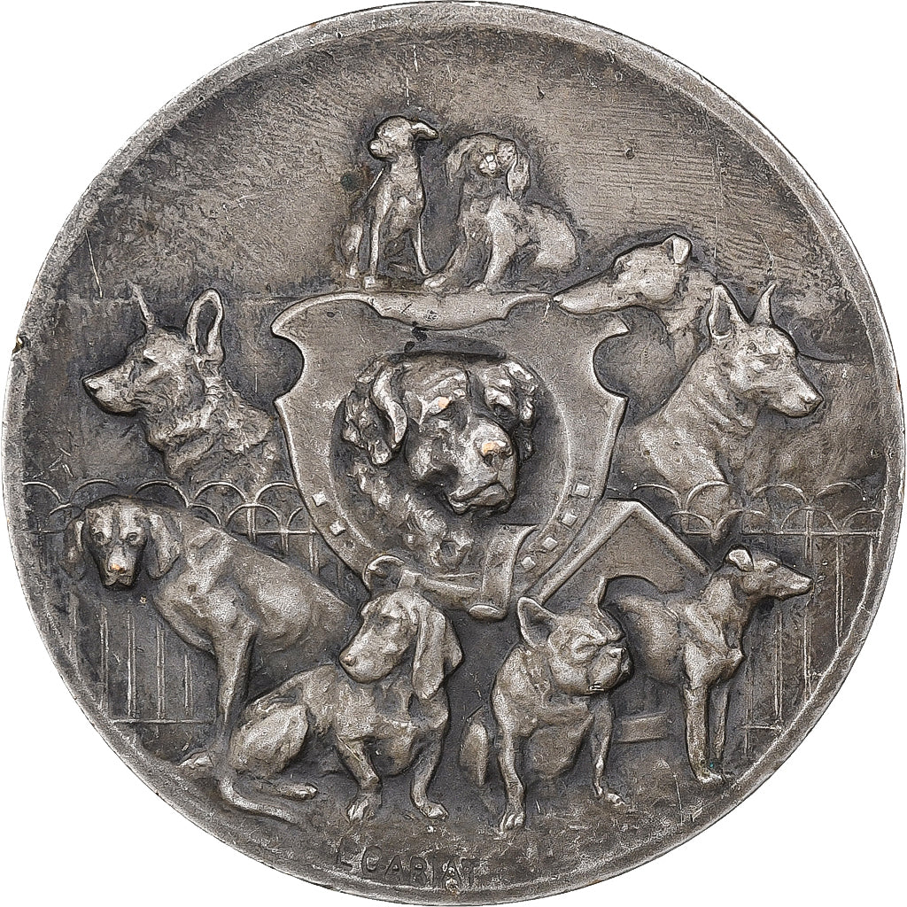 França, medalha, Société Canine Maine-Anjou-Touraine, Chiens, Bronze