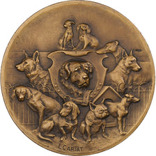 França, medalha, Société Canine Maine-Anjou-Touraine, Chiens, Bronze, Cariat