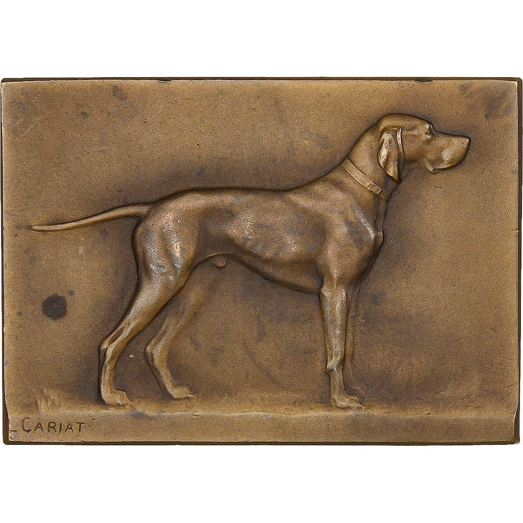 France, Médaille, Société Canine Maine-Anjou-Touraine, Bronze, SUP