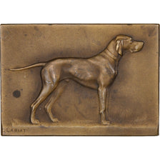 France, Médaille, Société Canine Maine-Anjou-Touraine, Bronze, SUP