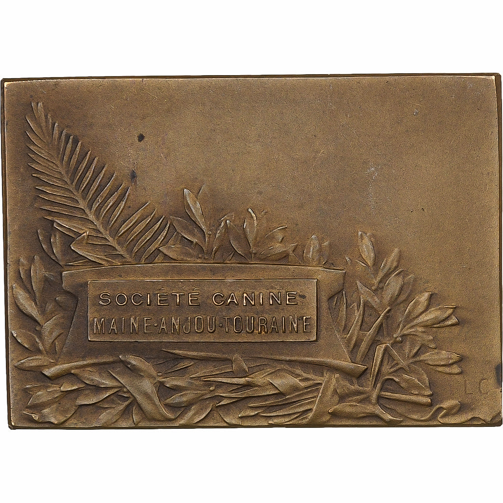 France, Médaille, Société Canine Maine-Anjou-Touraine, Bronze, SUP