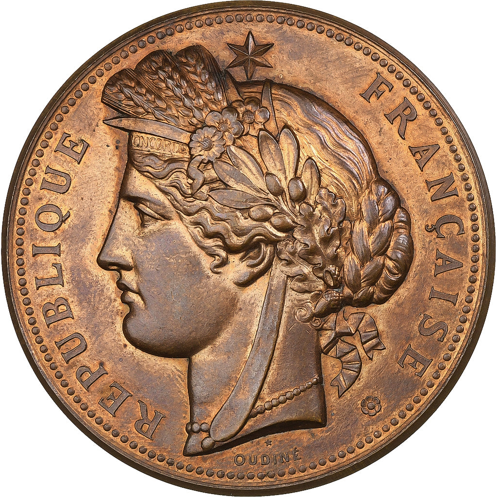 França, medalha, Exposition universelle de Paris, 1878, Bronze, Dubois.A