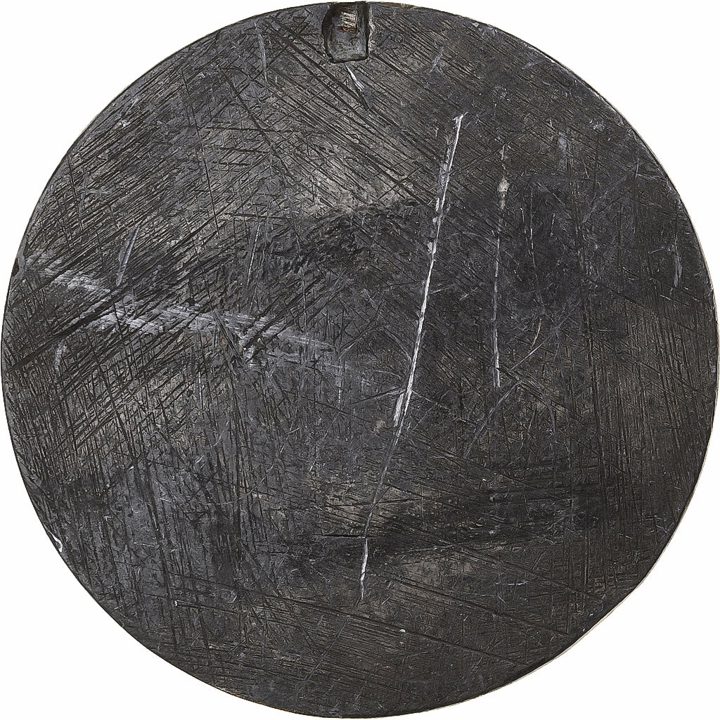 Francia, medalla, Casimir Périer, Président de la République, 1894, Bronce