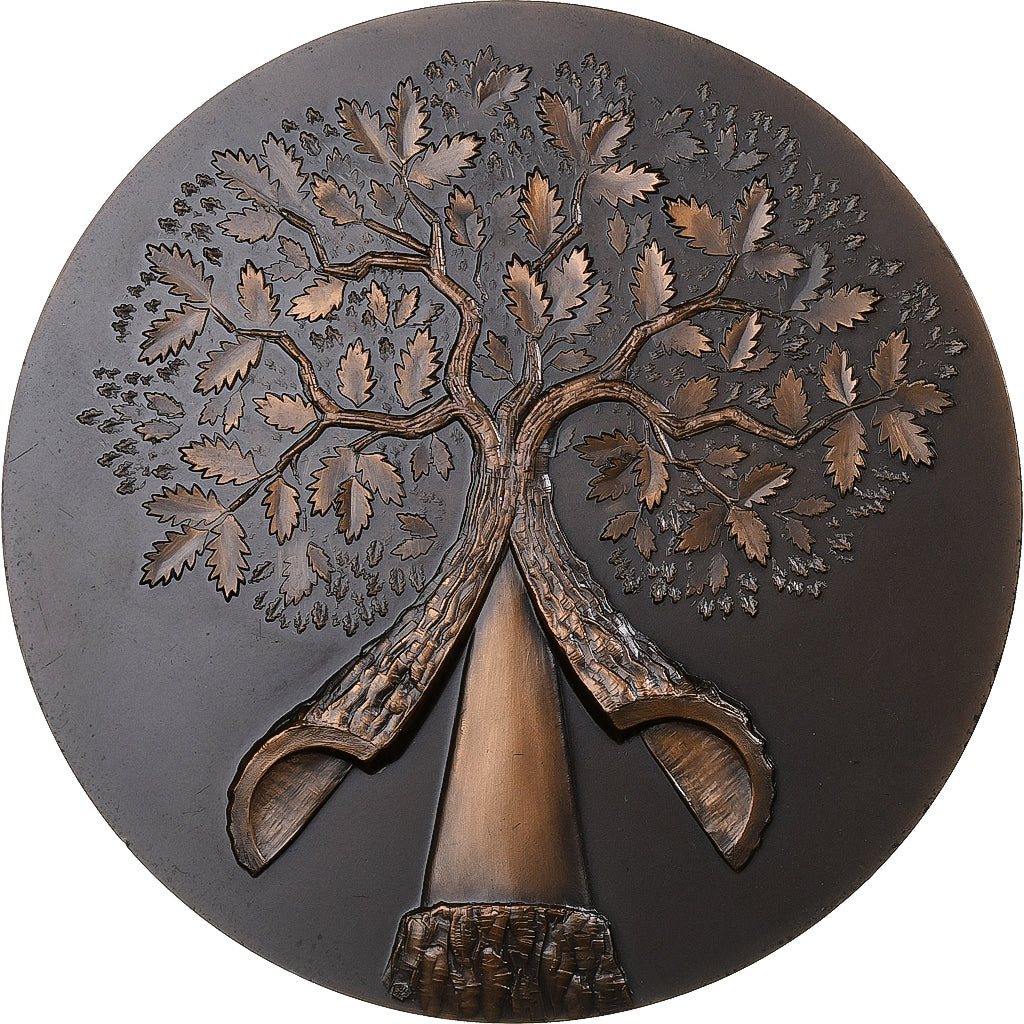 Francia, medalla, Sofrali, 1972, Bronce, EBC+