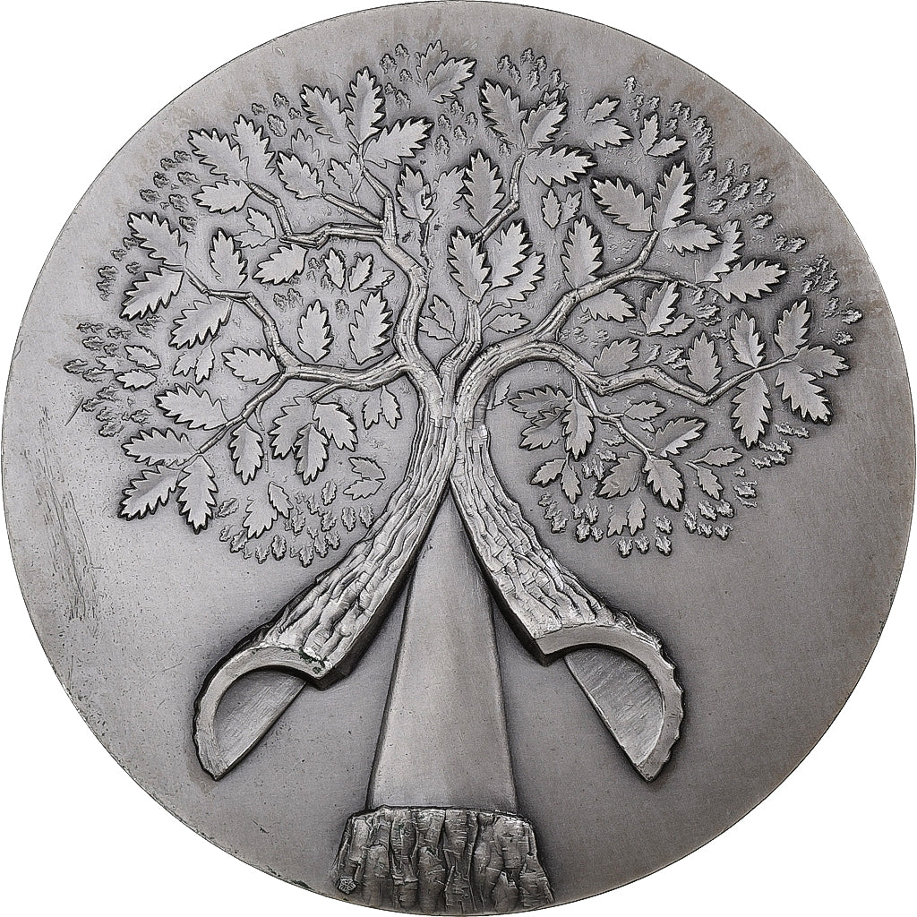 France, Medal, Sofrali, 1975, Silver, AU(55-58)