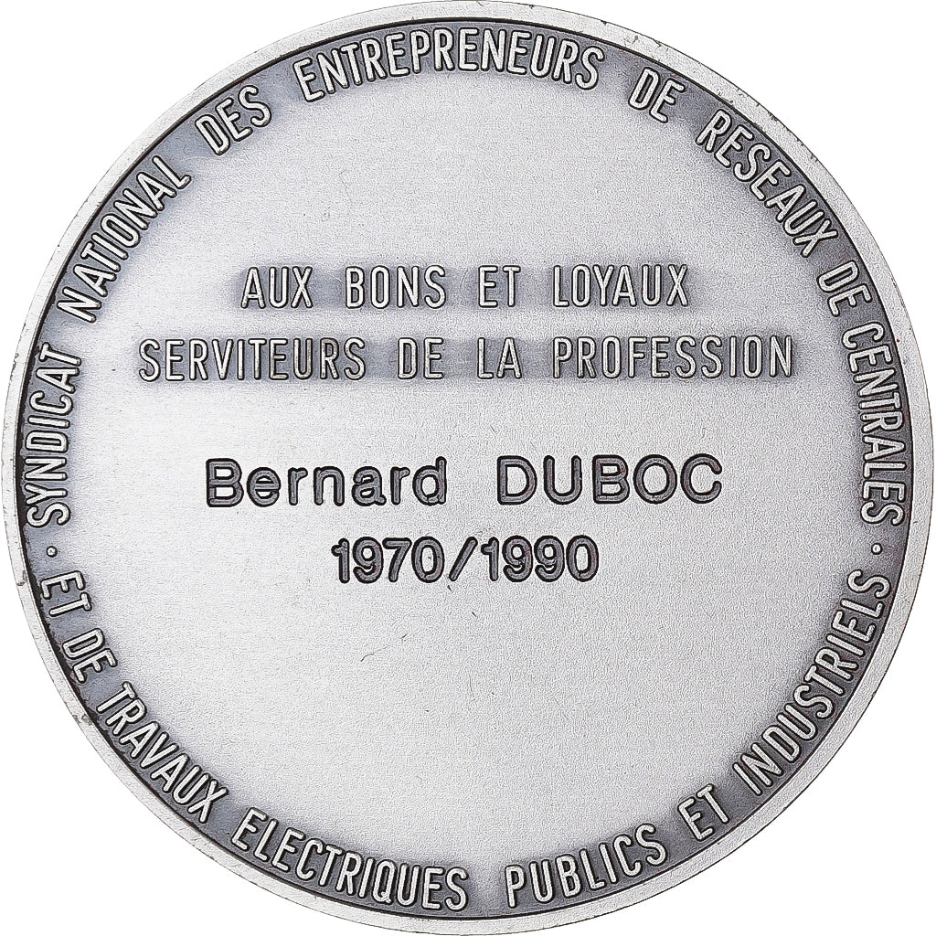 França, medalha, SERCE, Syndicat des Entrepreneurs de Réseaux de Centrales