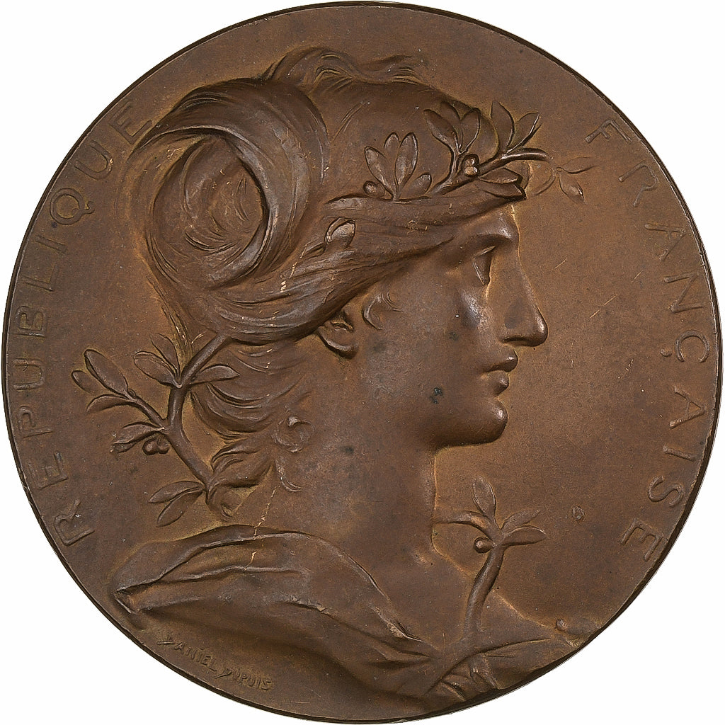 Frankrijk, Medaille, Exposition universelle de Paris, 1889, Bronzen, Dupuis.D
