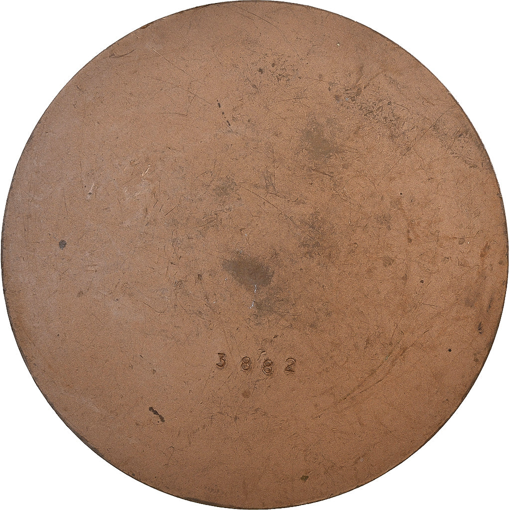França, medalha, Saint Louis, 1970, Bronze, De Jaeger, AU(55-58)