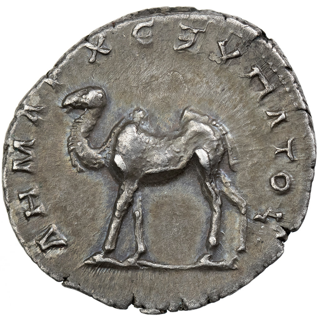 Arabia, Trajan, Drachm, 114-116, Arabian Mint, Srebro, AU(50-53), RPC:III-4076