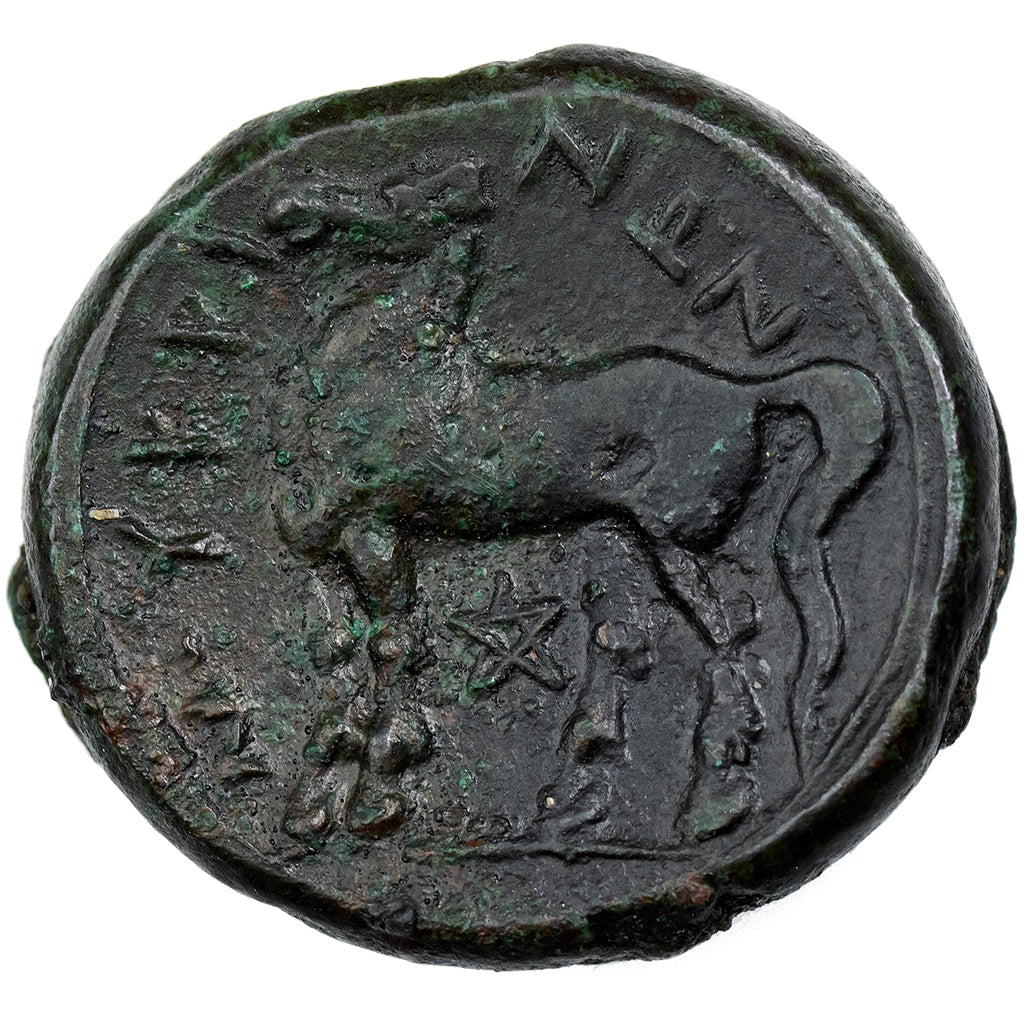 Bruttium, Æ Unit, ca. 225-200 BC, Nuceria, Bronzen, ZF+, HGC:1-1606