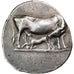 Euboia, Stater, ca. 270-253 BC, Karystos, Argento, MB+, HGC:4-1552