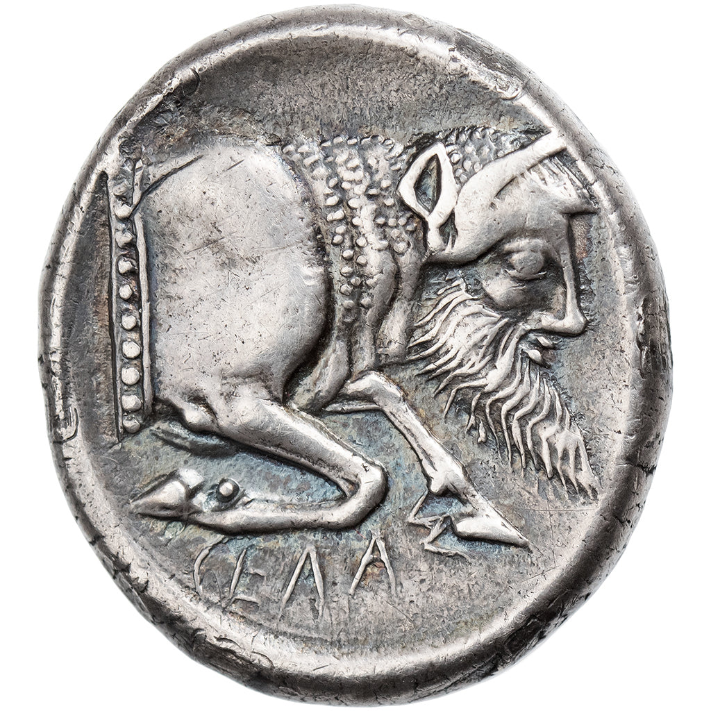 Sicily, Didrachm, ca. 490-475 BC, Gela, Plata, BC+, HGC:2-363