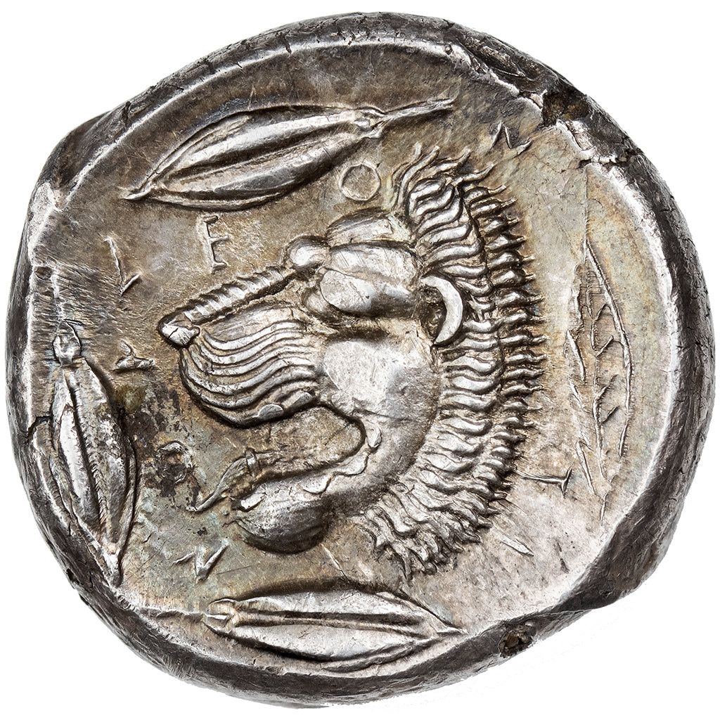 Sycylia, Tetradrachm, 455-430 BC, Leontini, Srebro, AU(50-53), HGC:2-671