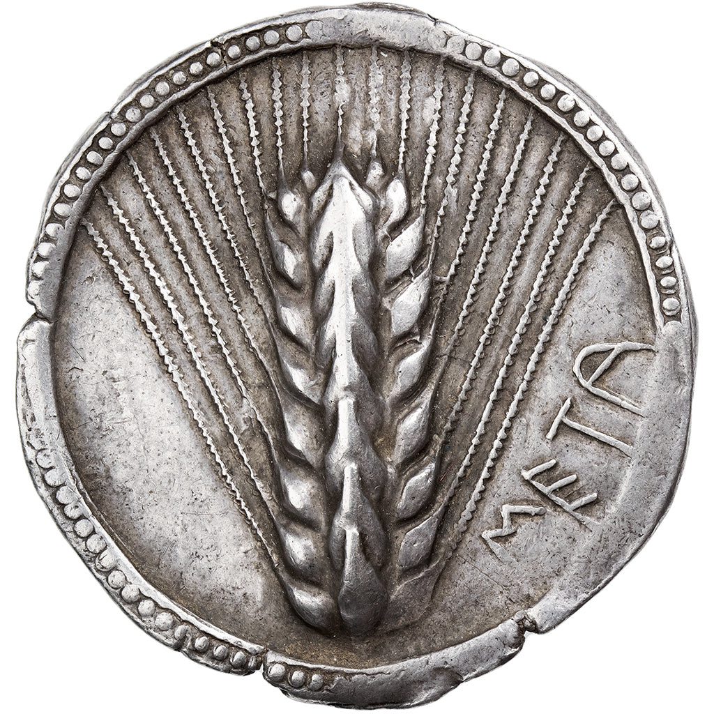 Lucania, Nomos, ca. 510-470 BC, Metapontum, Srebro, EF(40-45), HGC:1-1027