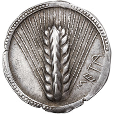 Lucania, Nomos, ca. 510-470 BC, Metapontum, Srebro, EF(40-45), HGC:1-1027