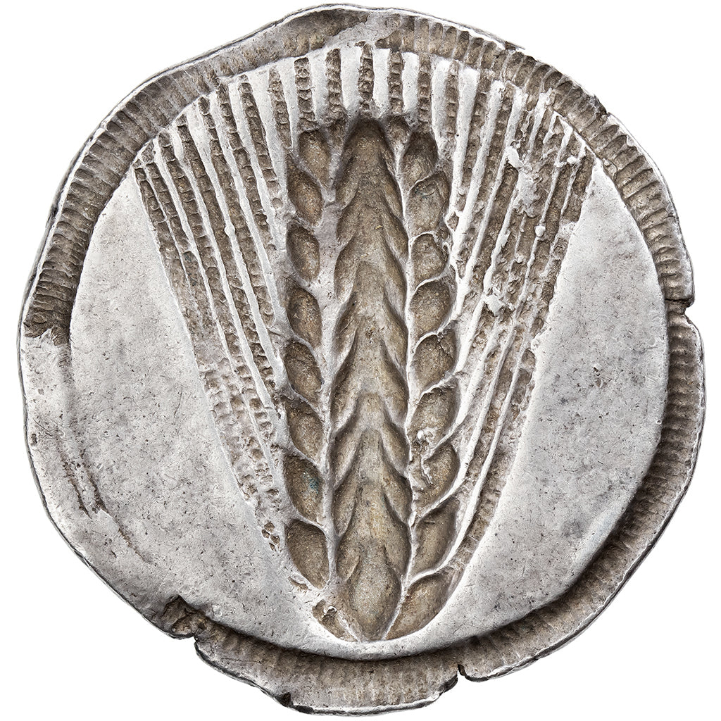 Lucania, Nomos, ca. 510-470 BC, Metapontum, Srebro, EF(40-45), HGC:1-1027