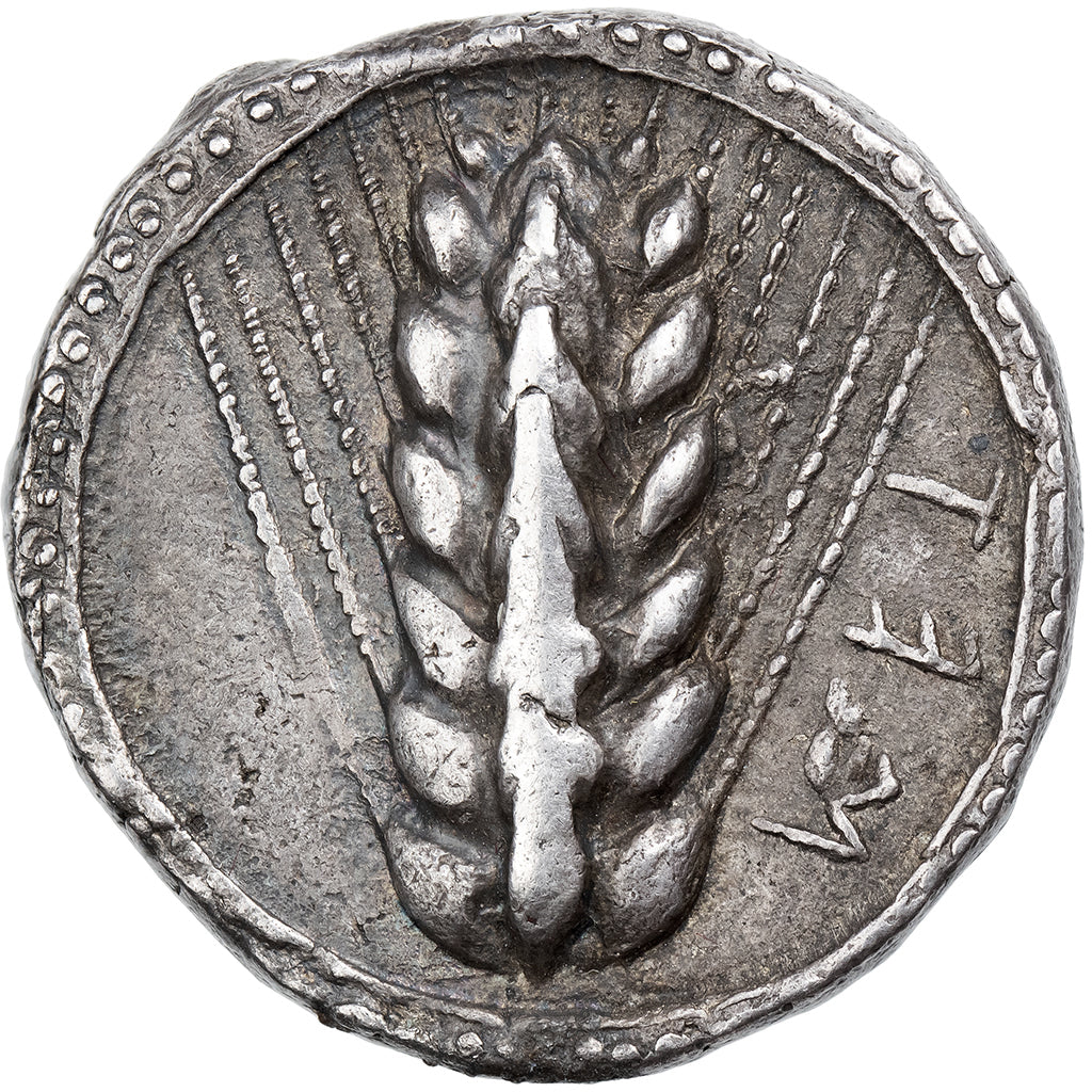 Lucania, Stater, ca. 510-470 BC, Metapontum, Silber, S, HGC:1-1028