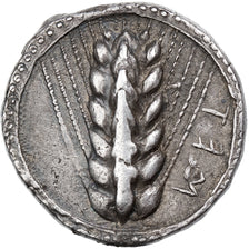 Lucania, Stater, ca. 510-470 BC, Metapontum, Silber, S, HGC:1-1028