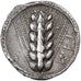 Lucania, Stater, ca. 510-470 BC, Metapontum, Silber, S, HGC:1-1028