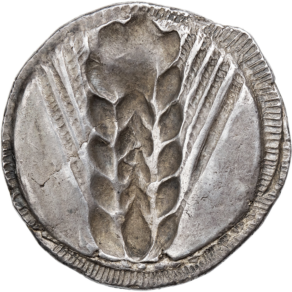 Lucania, Stater, ca. 510-470 BC, Metapontum, Silber, S, HGC:1-1028