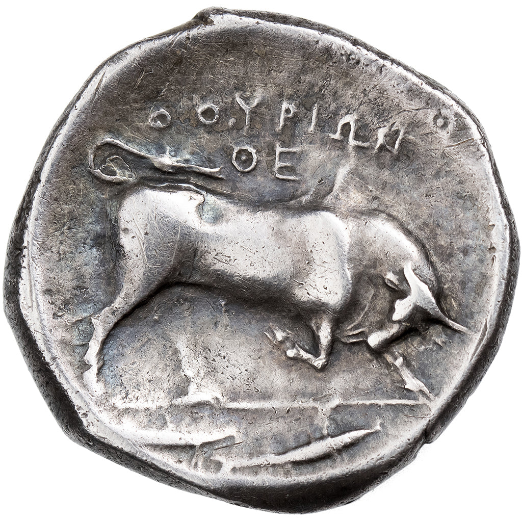 Lucanië, Stater, 300-280 BC, Thourioi, Zilver, FR+, HN Italy:1870
