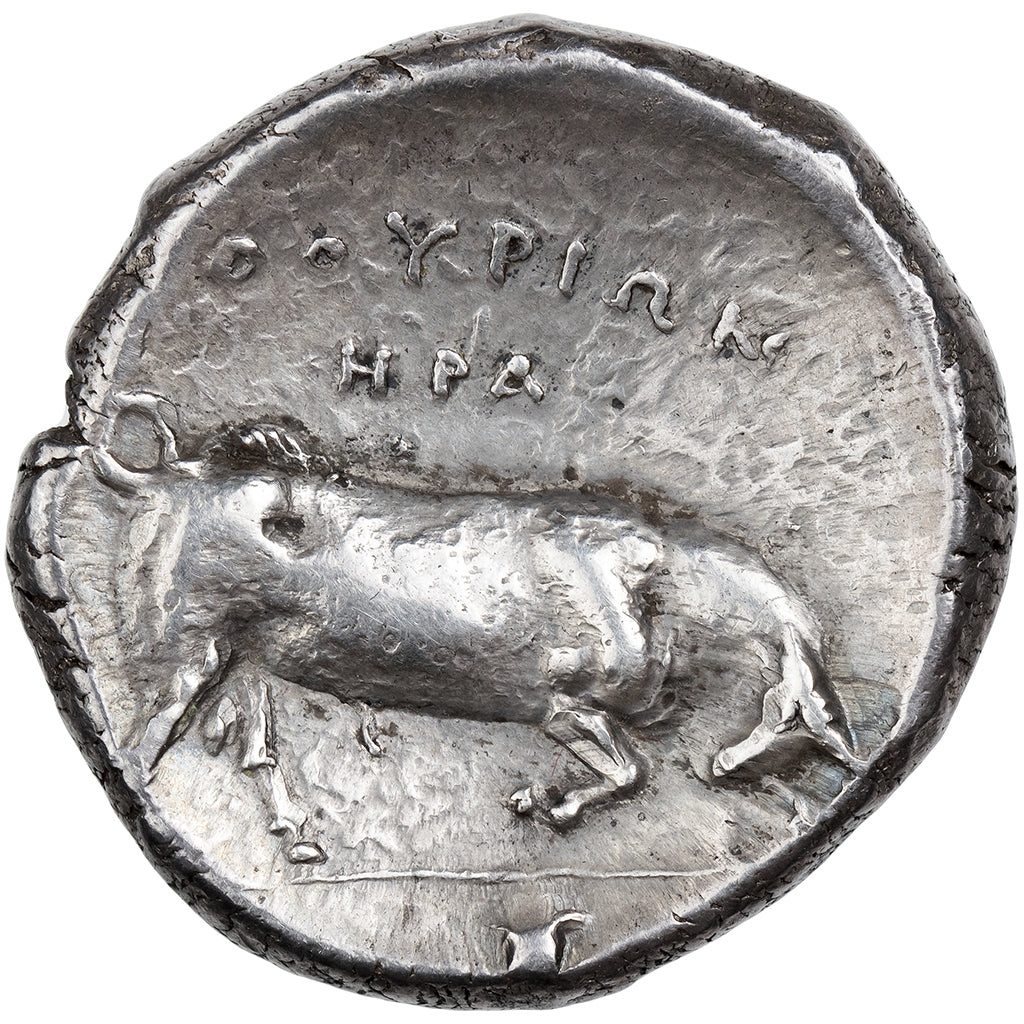 Lucania, Distater, ca. 350-300 BC, Thourioi, Srebro, EF(40-45), HGC:1-1263, HN