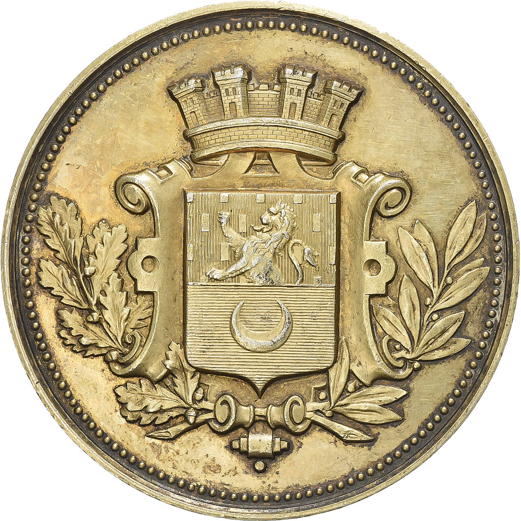 France, Médaille, École municipale de dessin, Vesoul, 1879, Argent, TB+