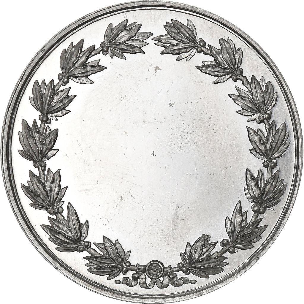 France, Medal, Napoléon III, Aluminium, Barre, AU(55-58)