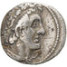 Égypte, Ptolémée Ier Soter, Tétradrachme, 275-261 av. J.-C, Alexandrie, Argent