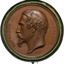 France, Médaille, Napoléon III, Commission de Statistique, 1860, Cuivre, SUP